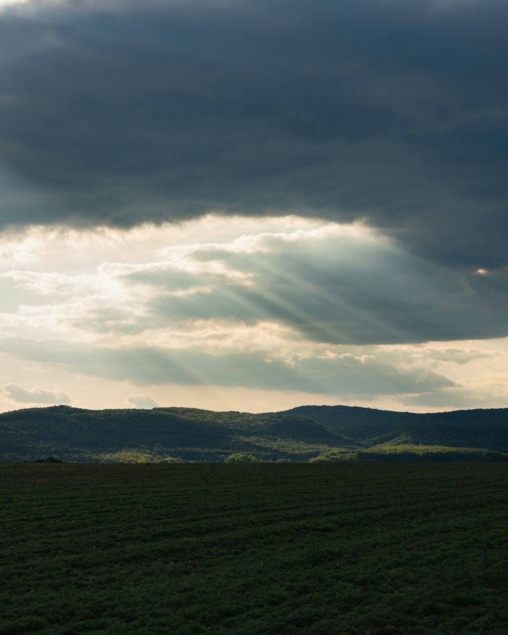 green grass field under cloudy sky during daytime