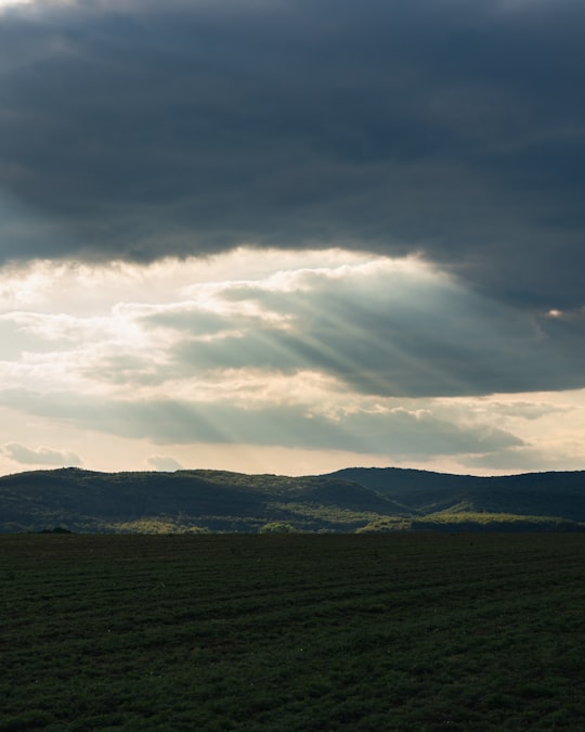 green grass field under cloudy sky during daytime in Pilisvörösvár Hungary