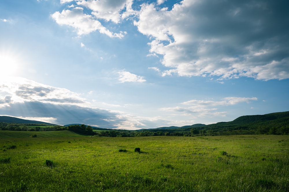campo di erba verde sotto nuvole bianche e cielo blu durante il giorno