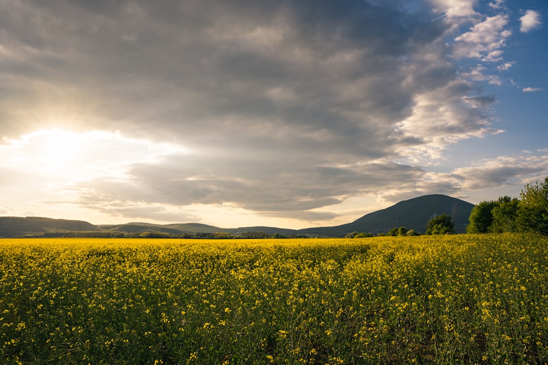 Natural landscape photo spot Pilis Pilis