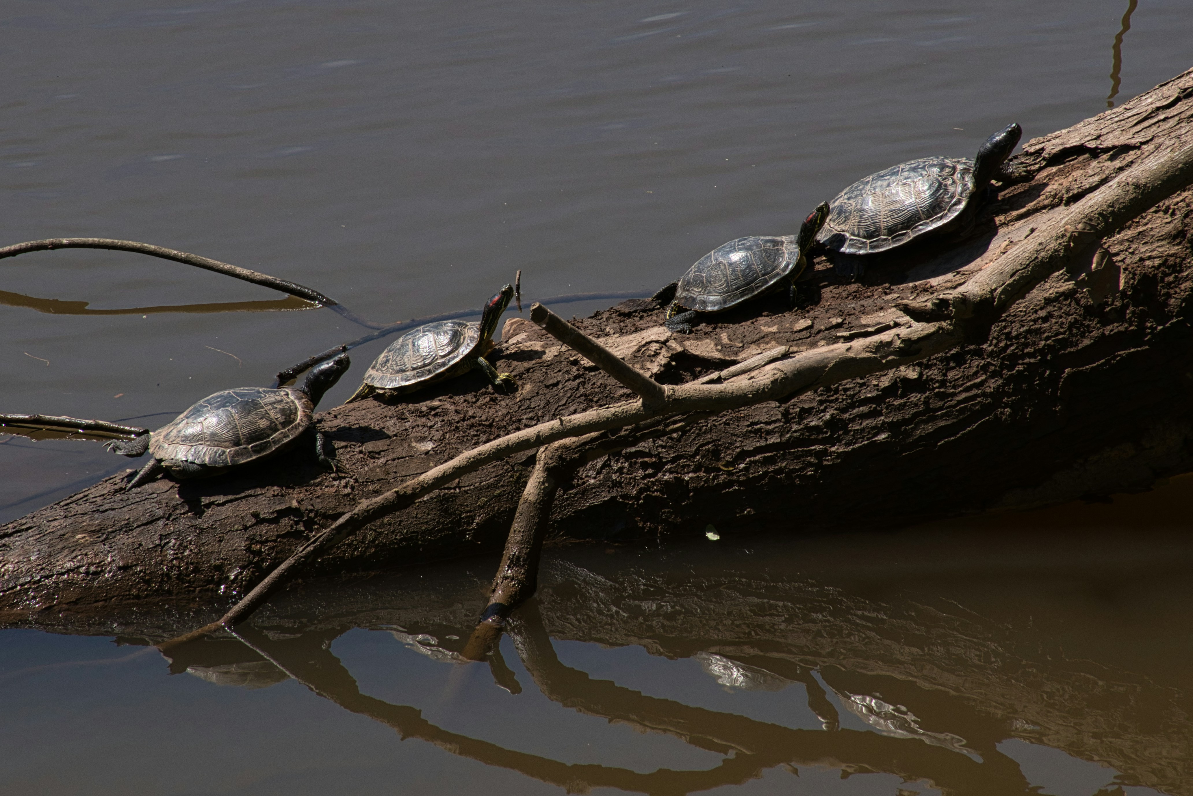 Elite Sea Facing Five Star Hotels in Mumbai