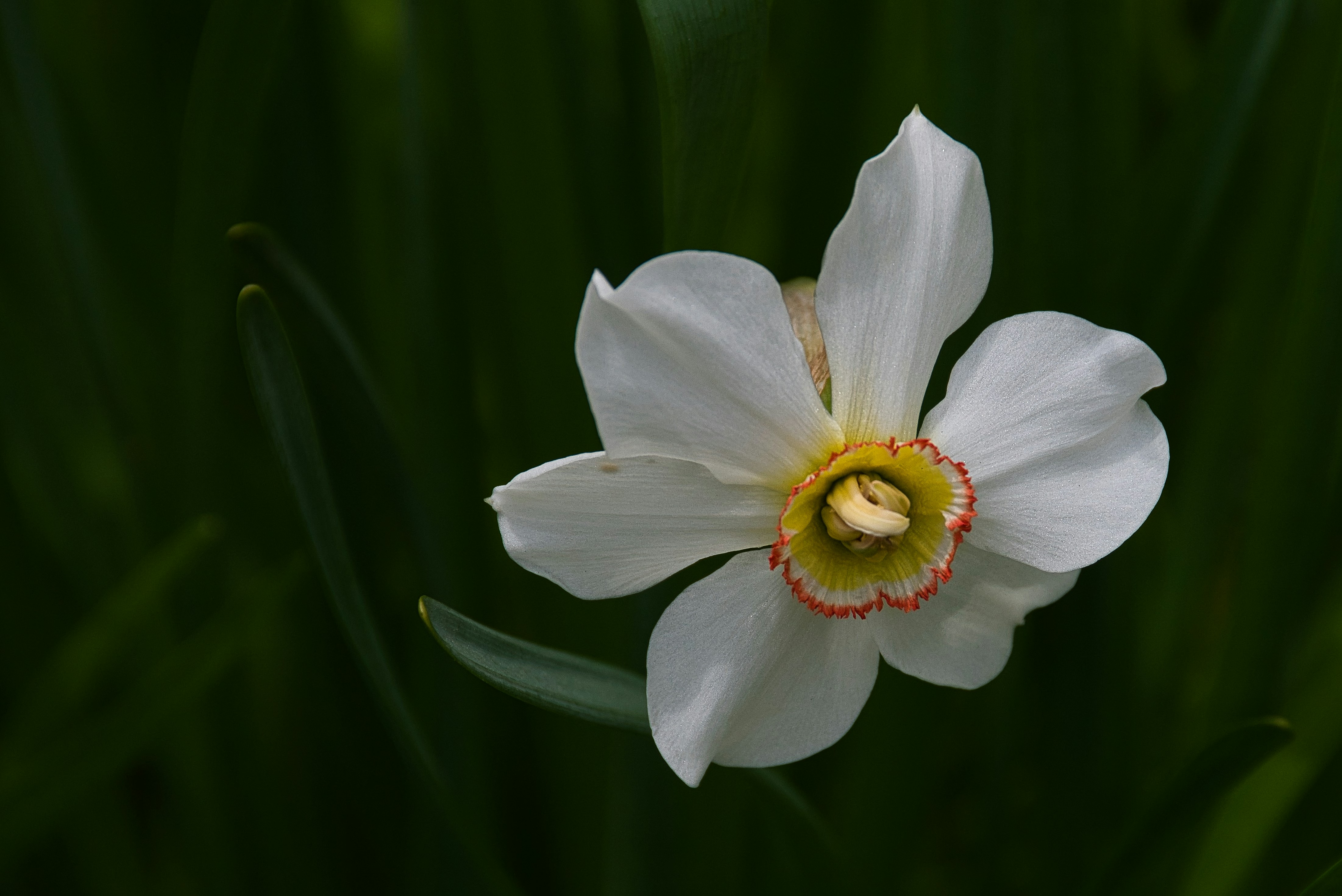 Photo by rofostan