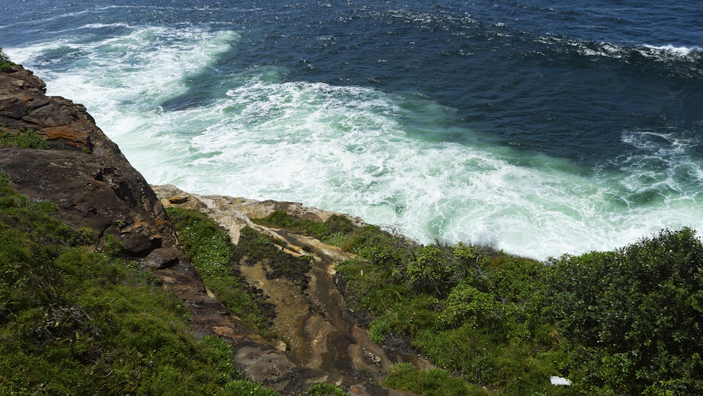 green grass on brown rocky shore during daytime