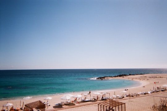 people on beach during daytime in Los Cabos Mexico