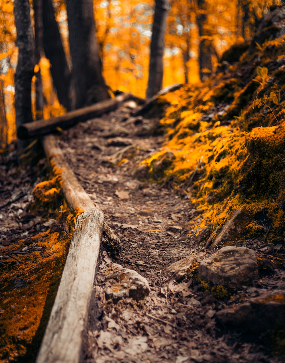 brown wooden bridge on rocky ground