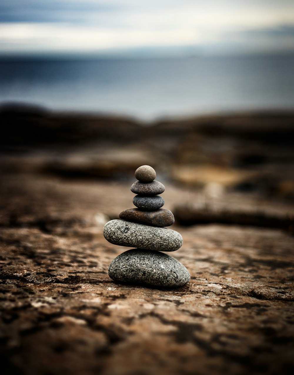 gray stones on brown soil