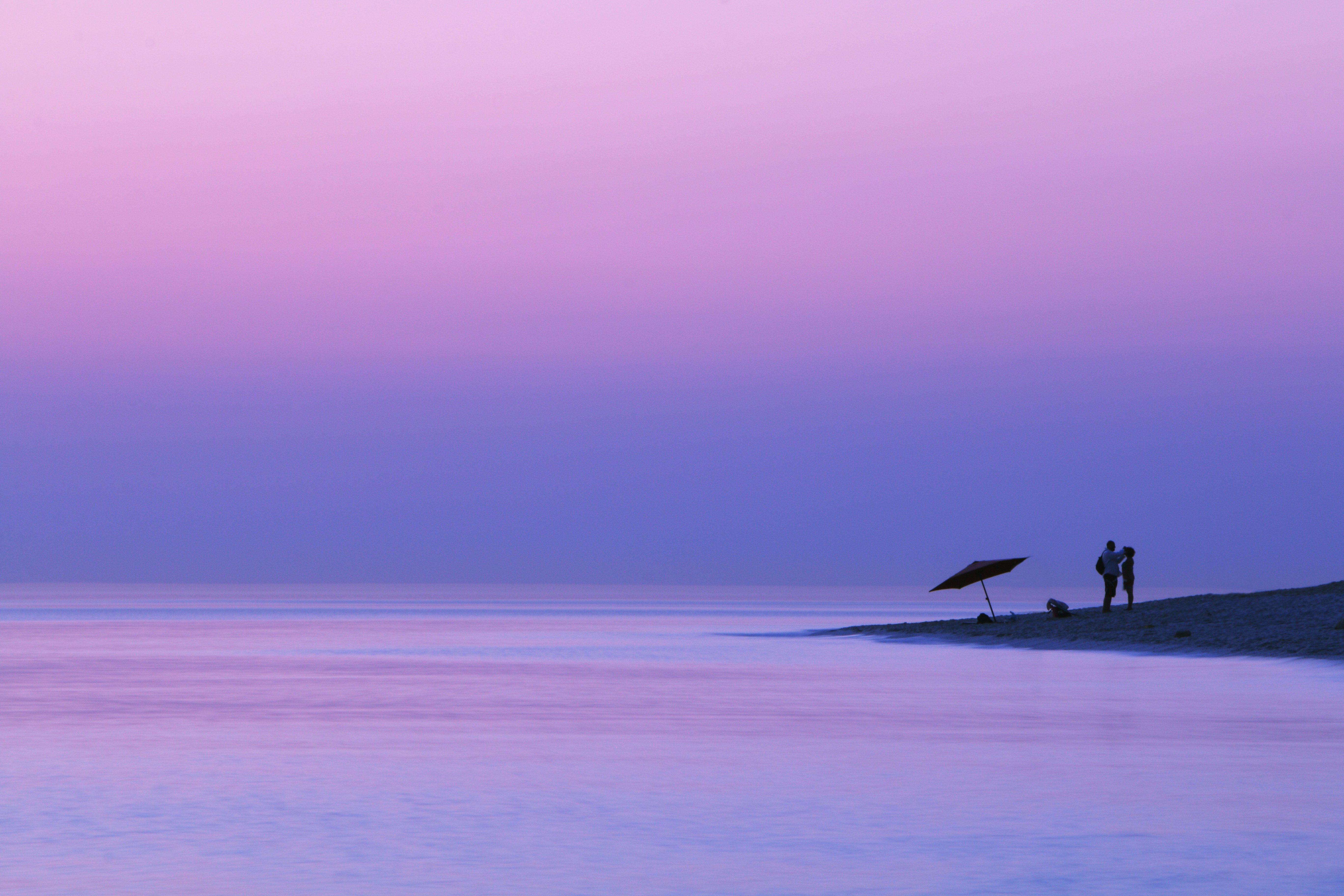 bird flying over the sea during daytime