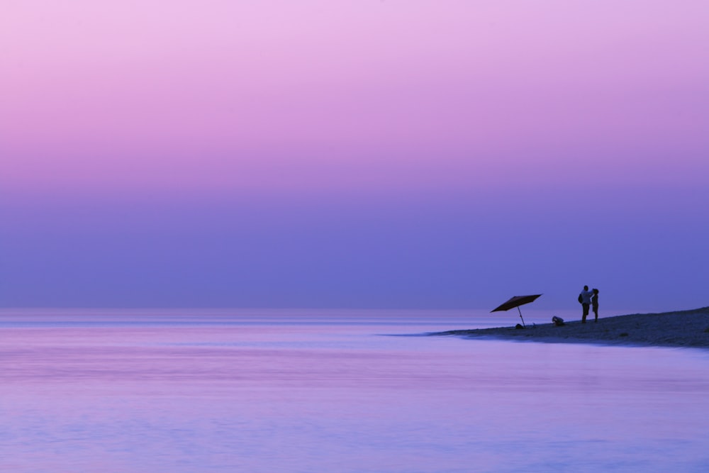 bird flying over the sea during daytime