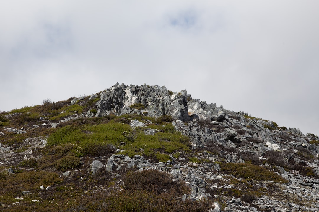 Hill photo spot Tasmania Cradle Mountain