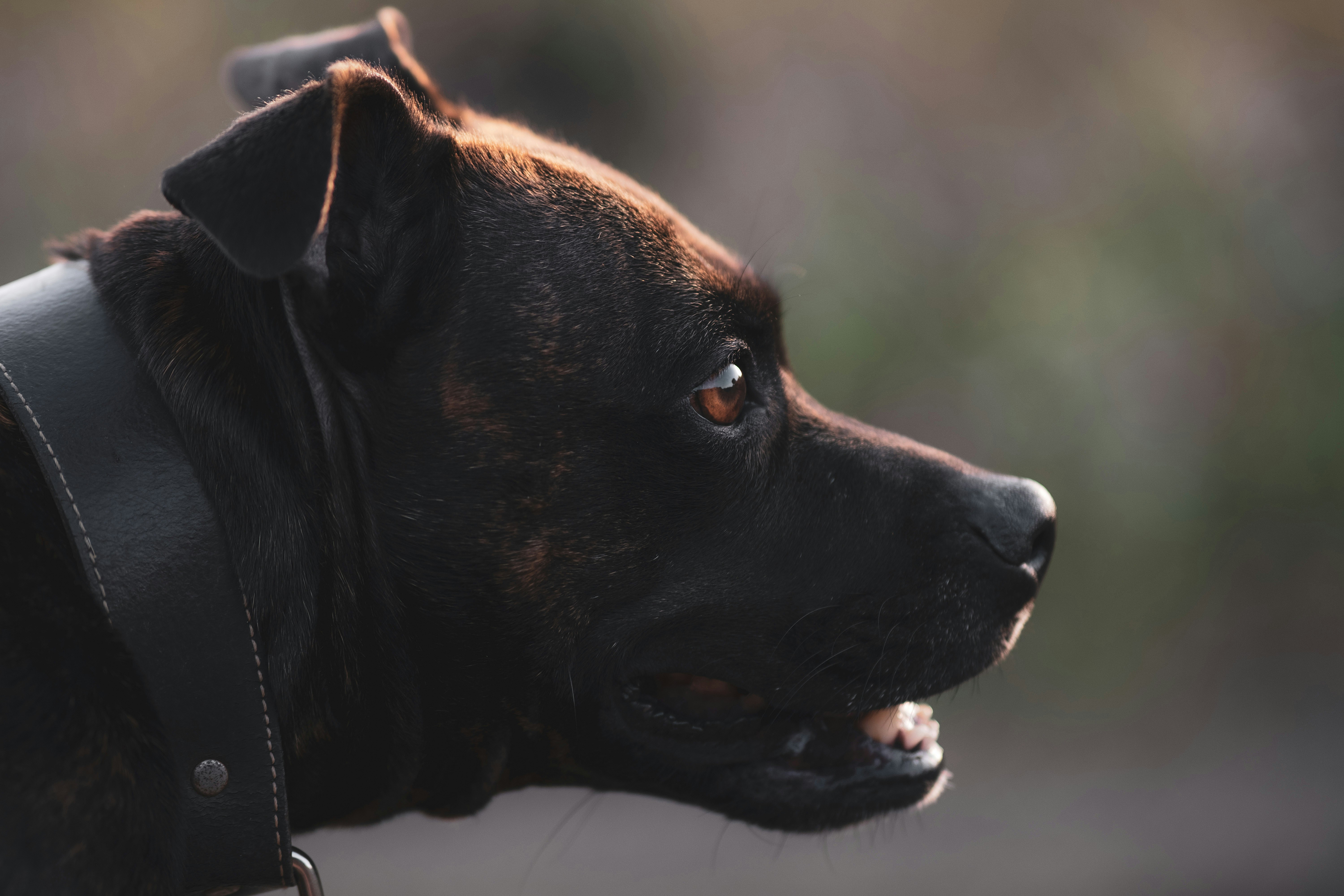 Photo by victor_vector