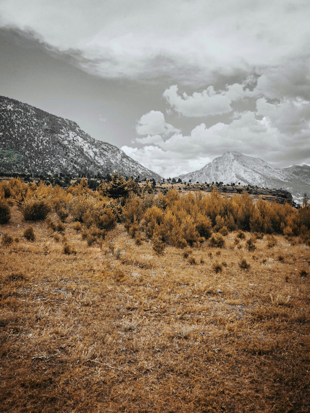 brown grass field near snow covered mountain under white clouds during daytime