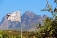 The party’s logo displayed prominently at a public gathering under the Piedmont sky.