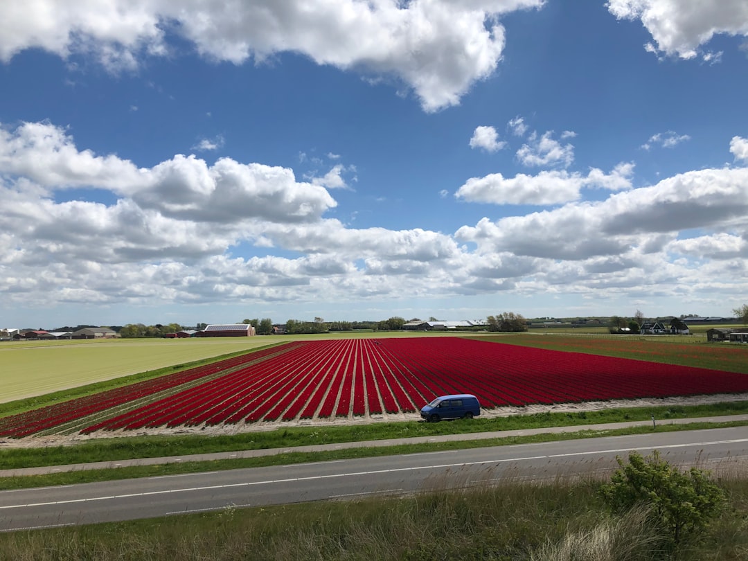 travelers stories about Plain in Callantsoog, Netherlands