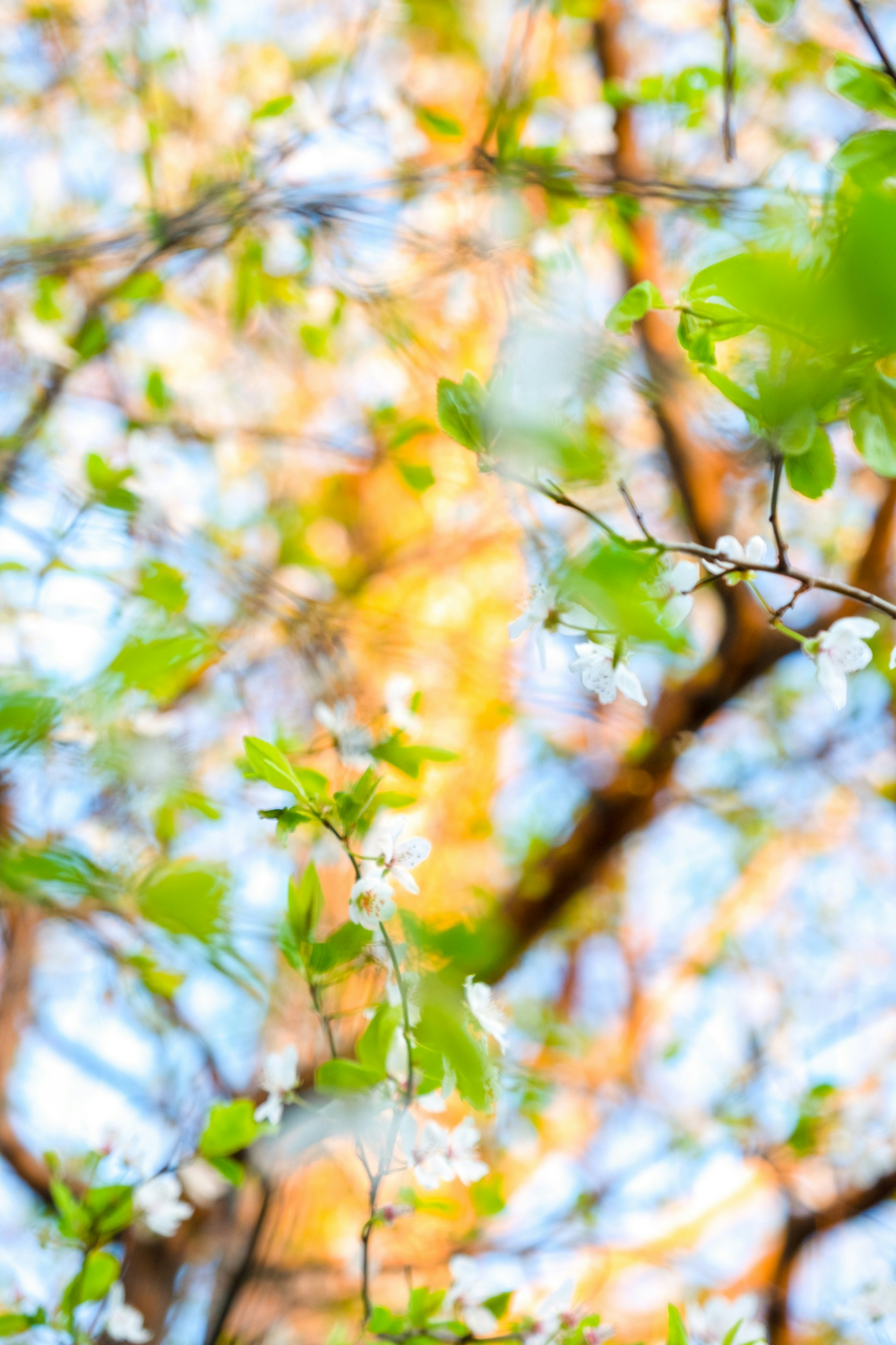 Photo by uroshdotorg