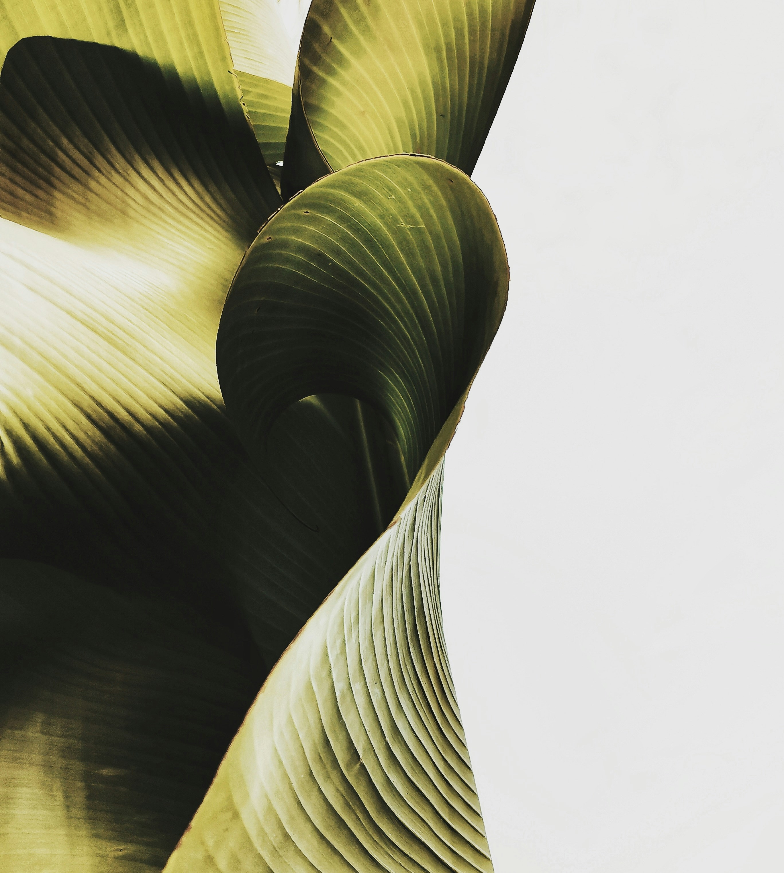 Photo by aguebrambila