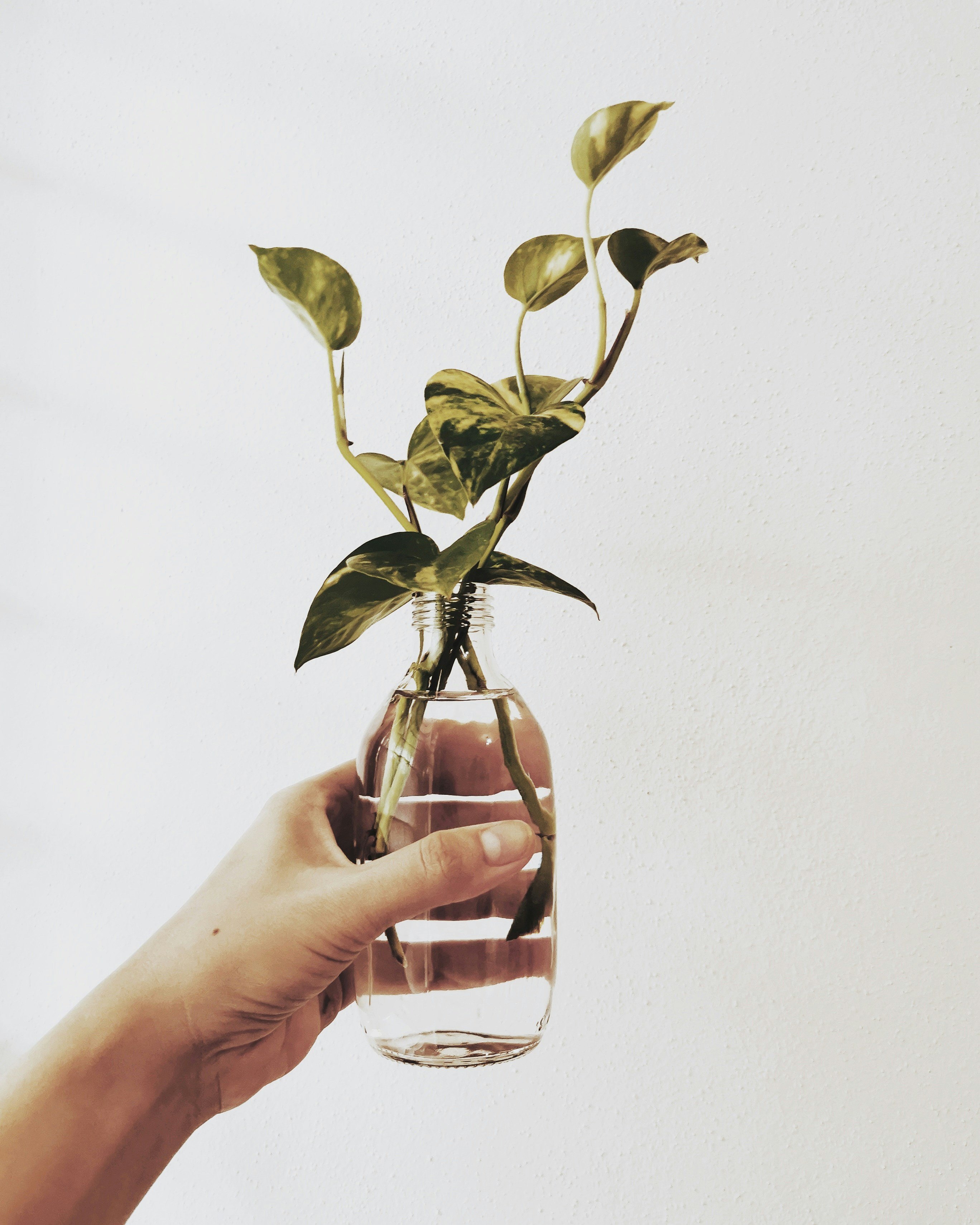 Photo by aguebrambila