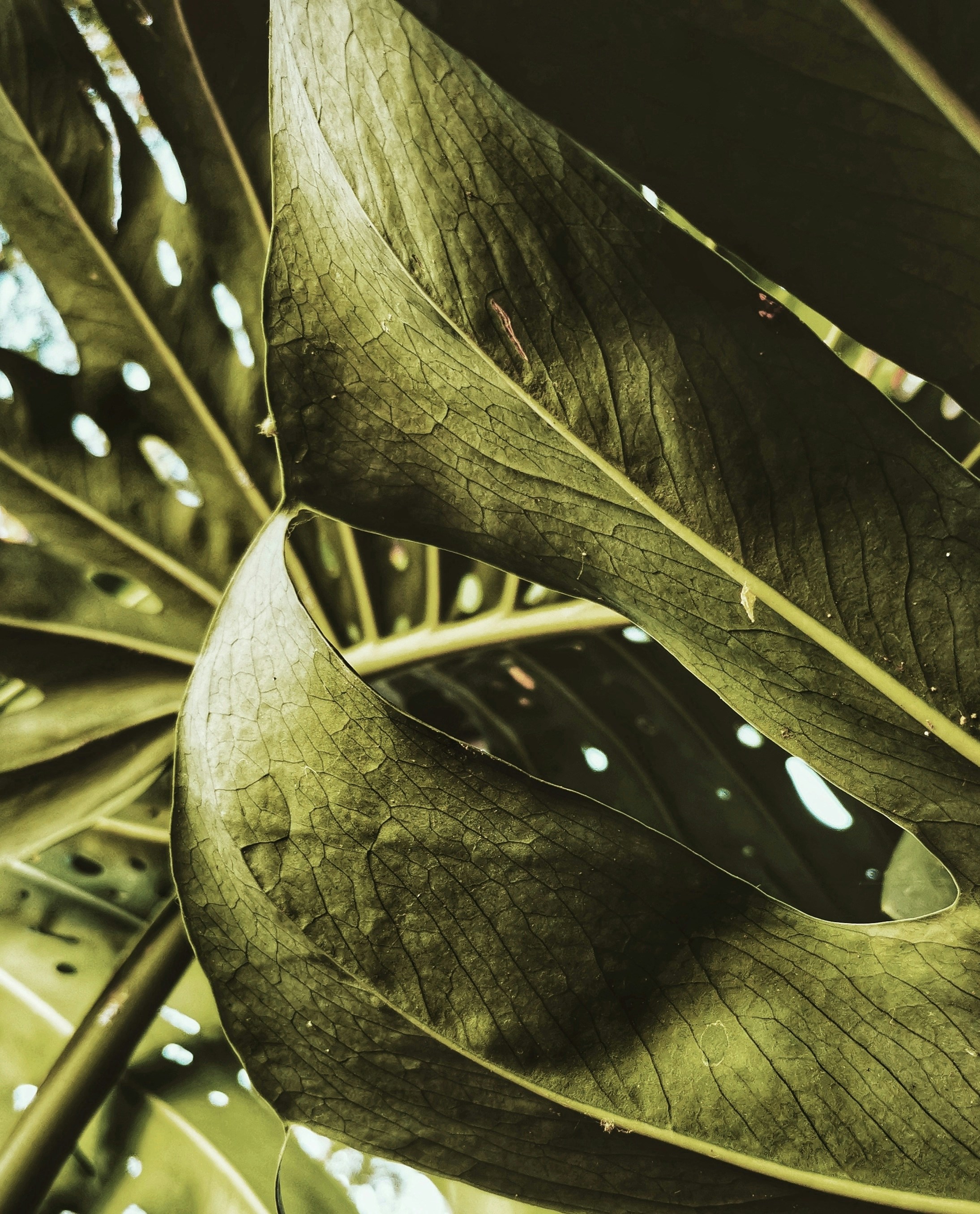 Photo by aguebrambila