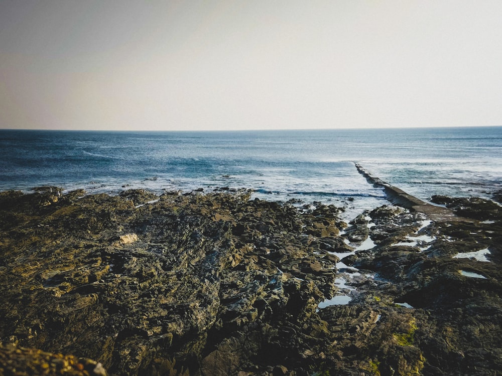 brown and green rock formation near body of water during daytime