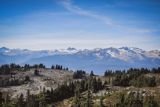 green trees on mountain under blue sky during daytime in Whistler Canada