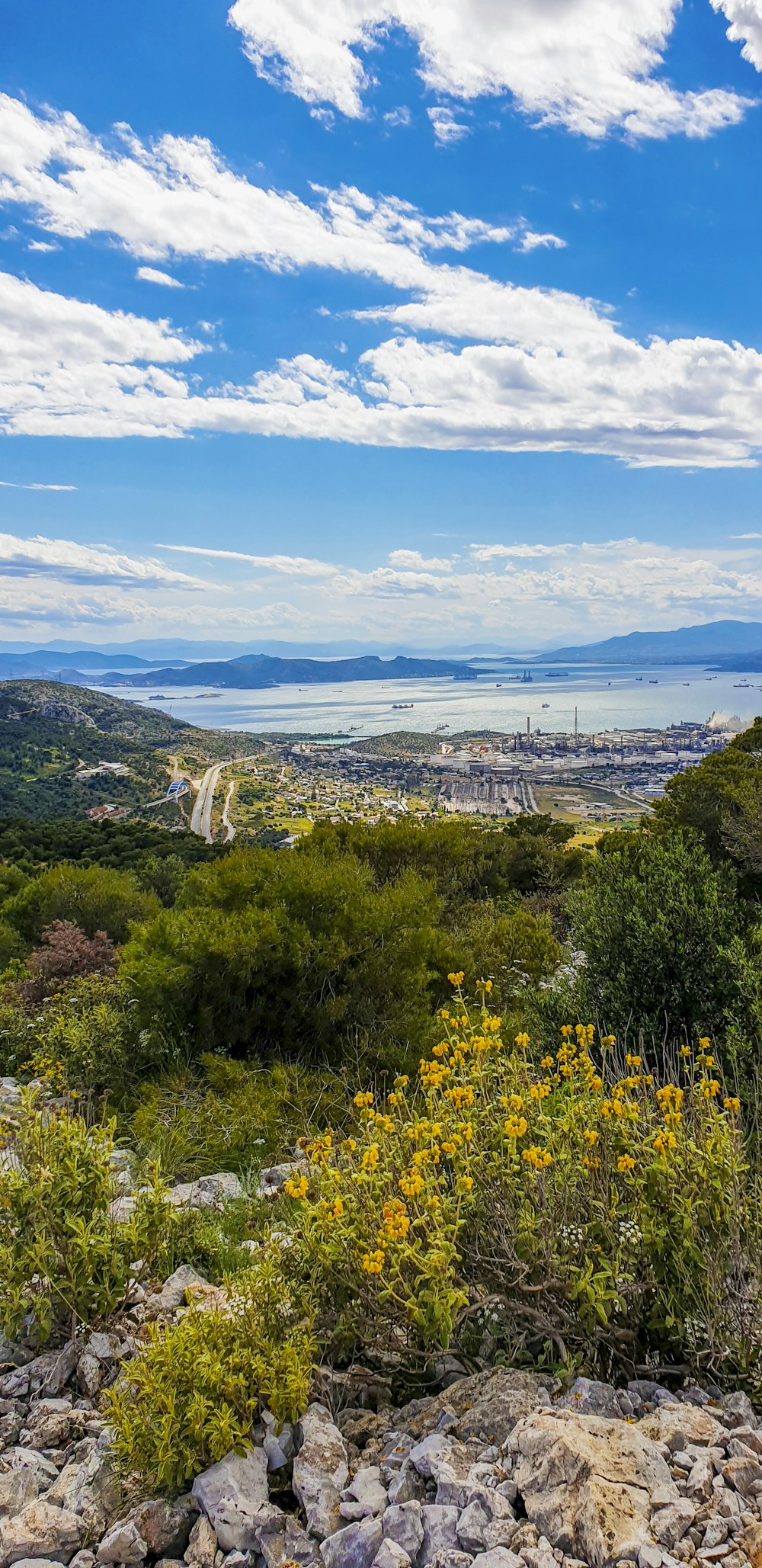 green trees and mountains under blue sky during daytime