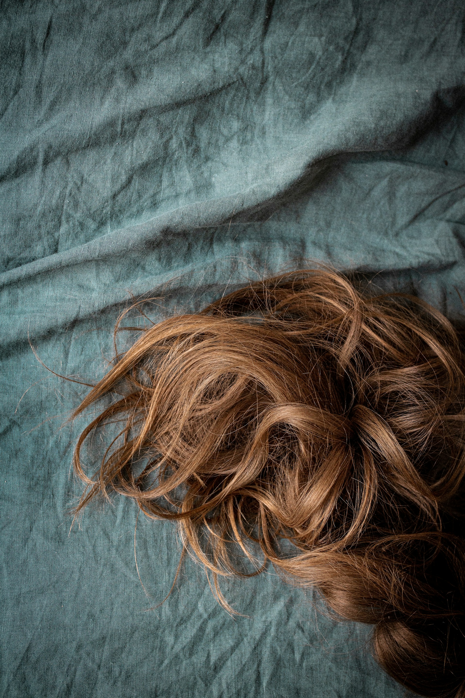 brown hair on blue textile