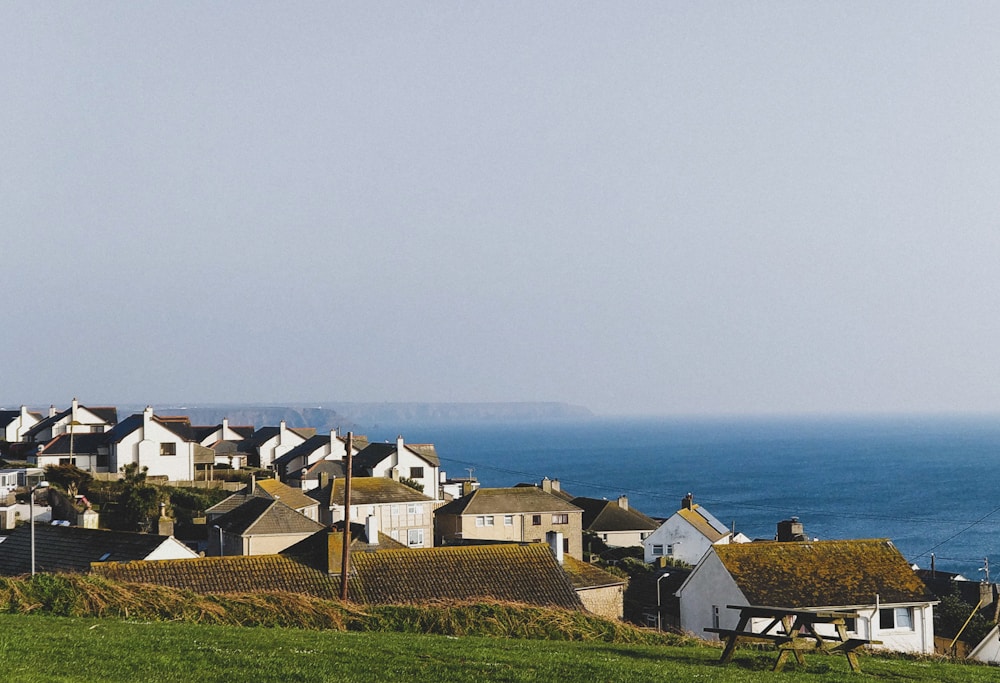 houses near body of water during daytime