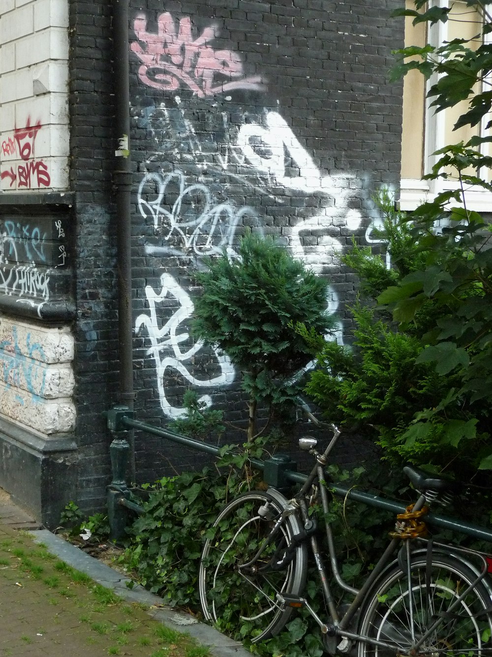 black bicycle parked beside green plants