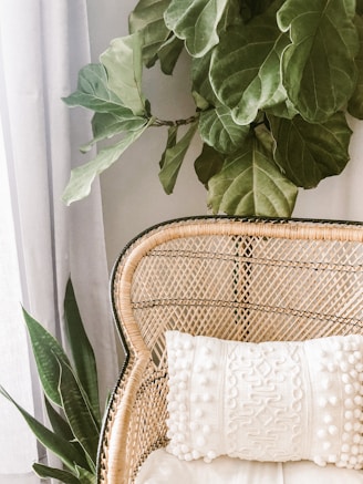 green plant on brown woven basket