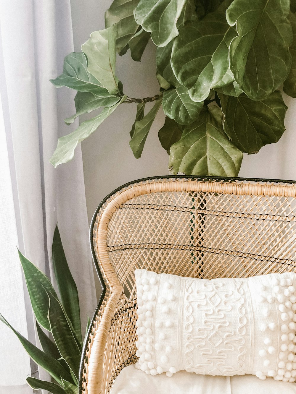 green plant on brown woven basket