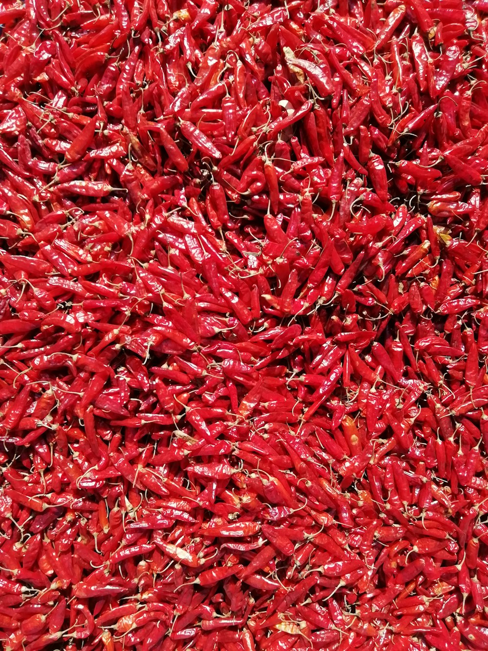 red chili lot on ground