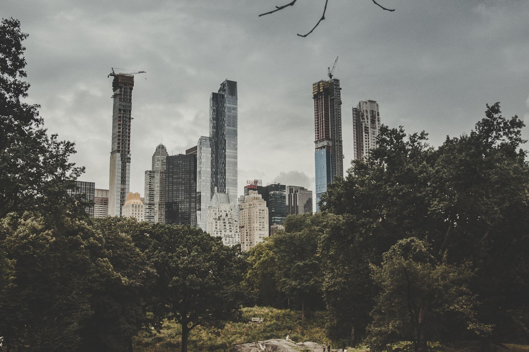 green trees near city buildings during daytime