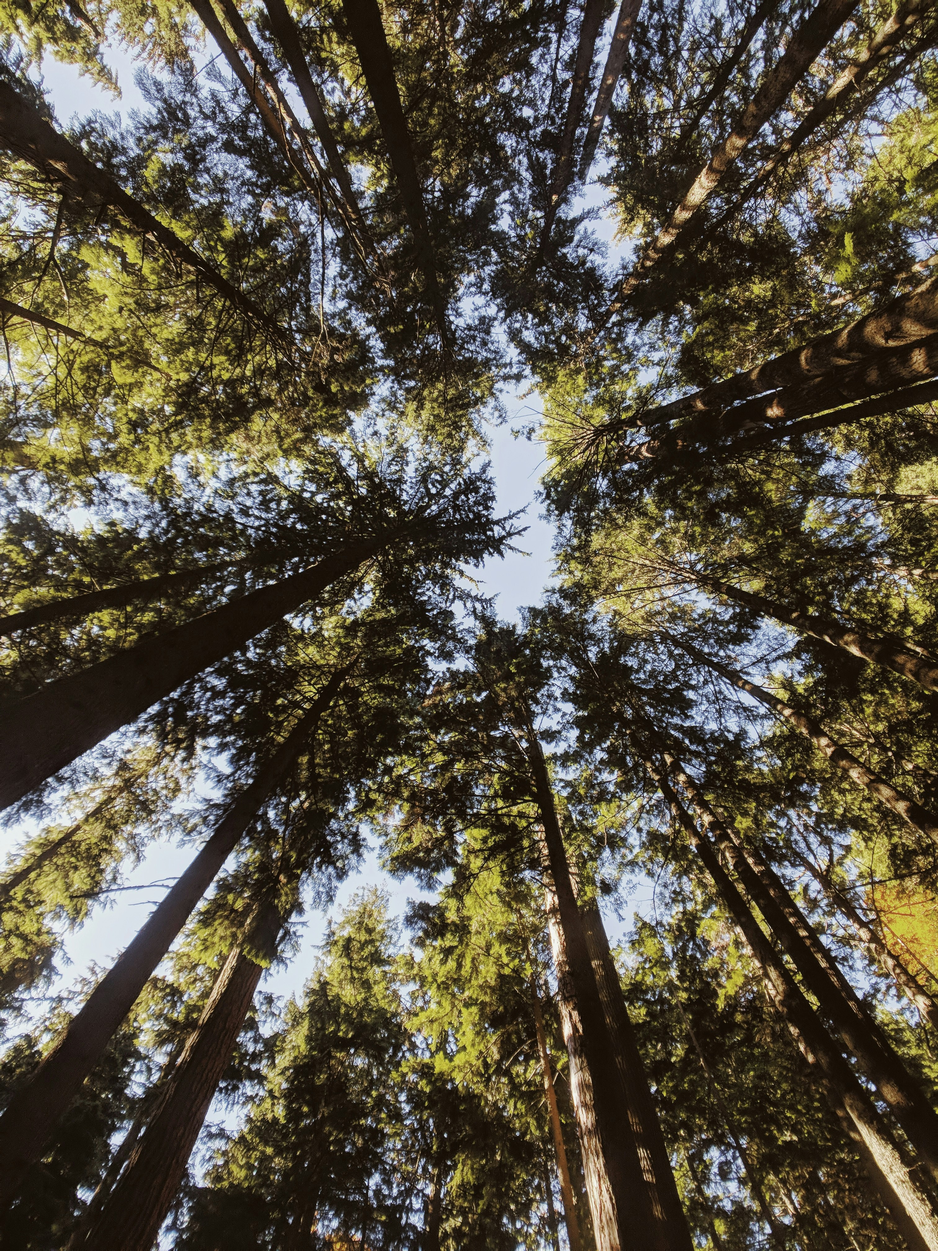 Photo by andrewwolff