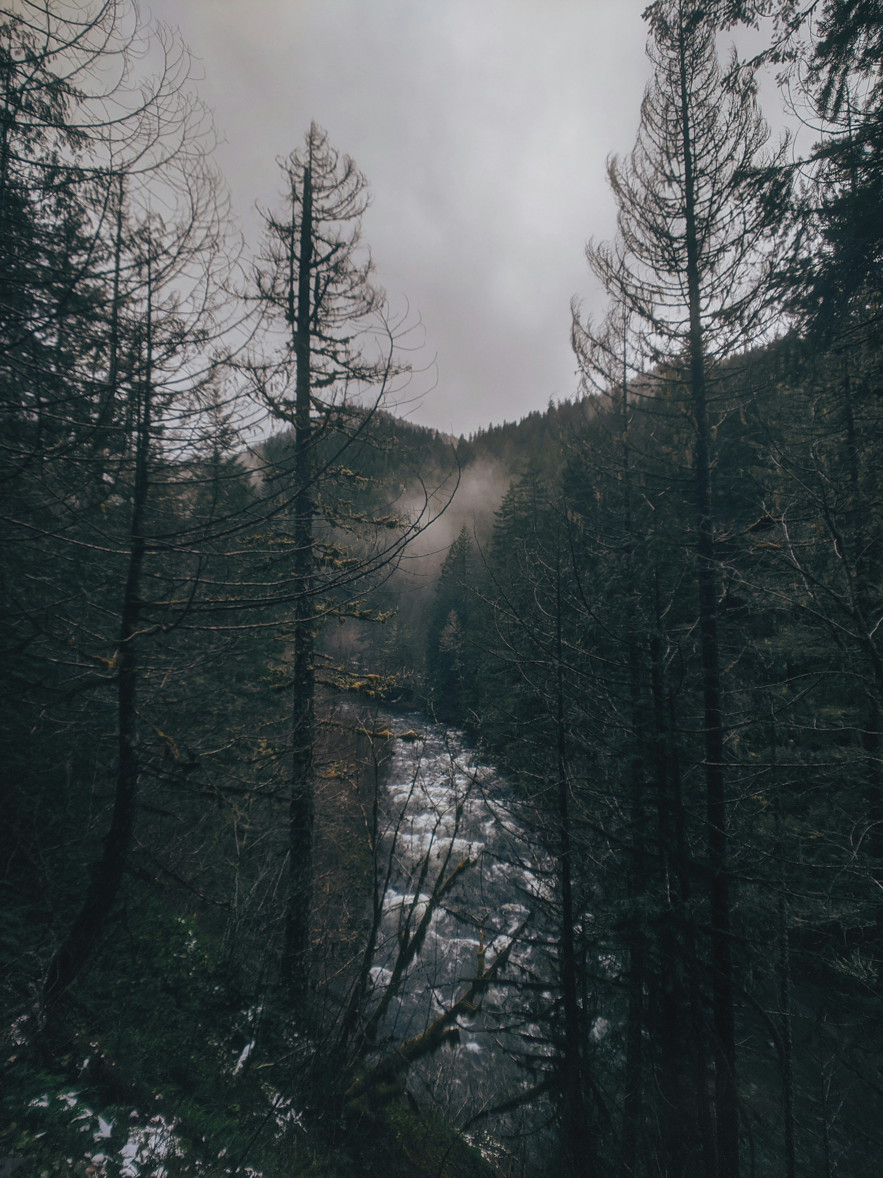 Photo by andrewwolff