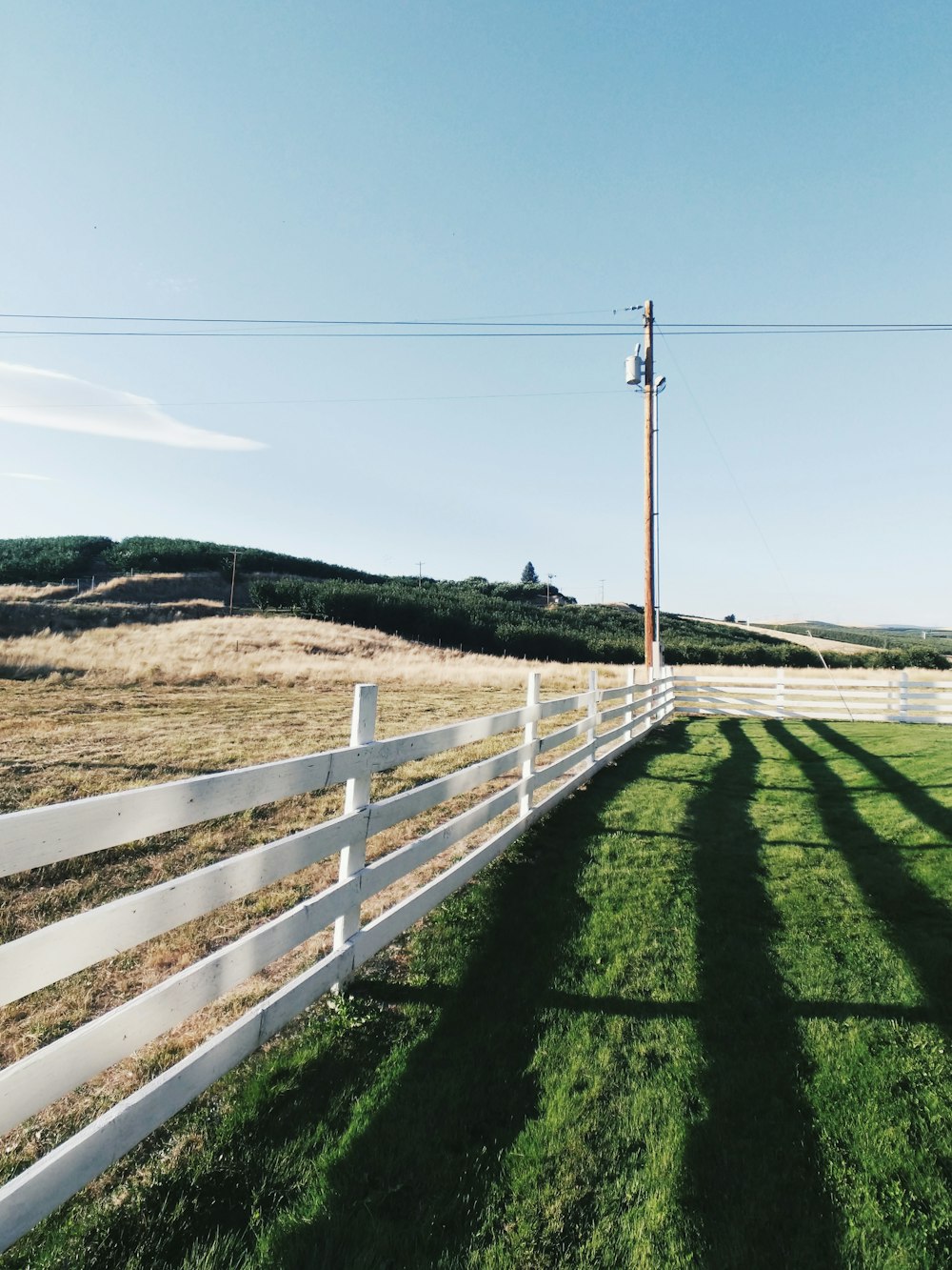 white wooden fence on green grass field under blue sky during daytime