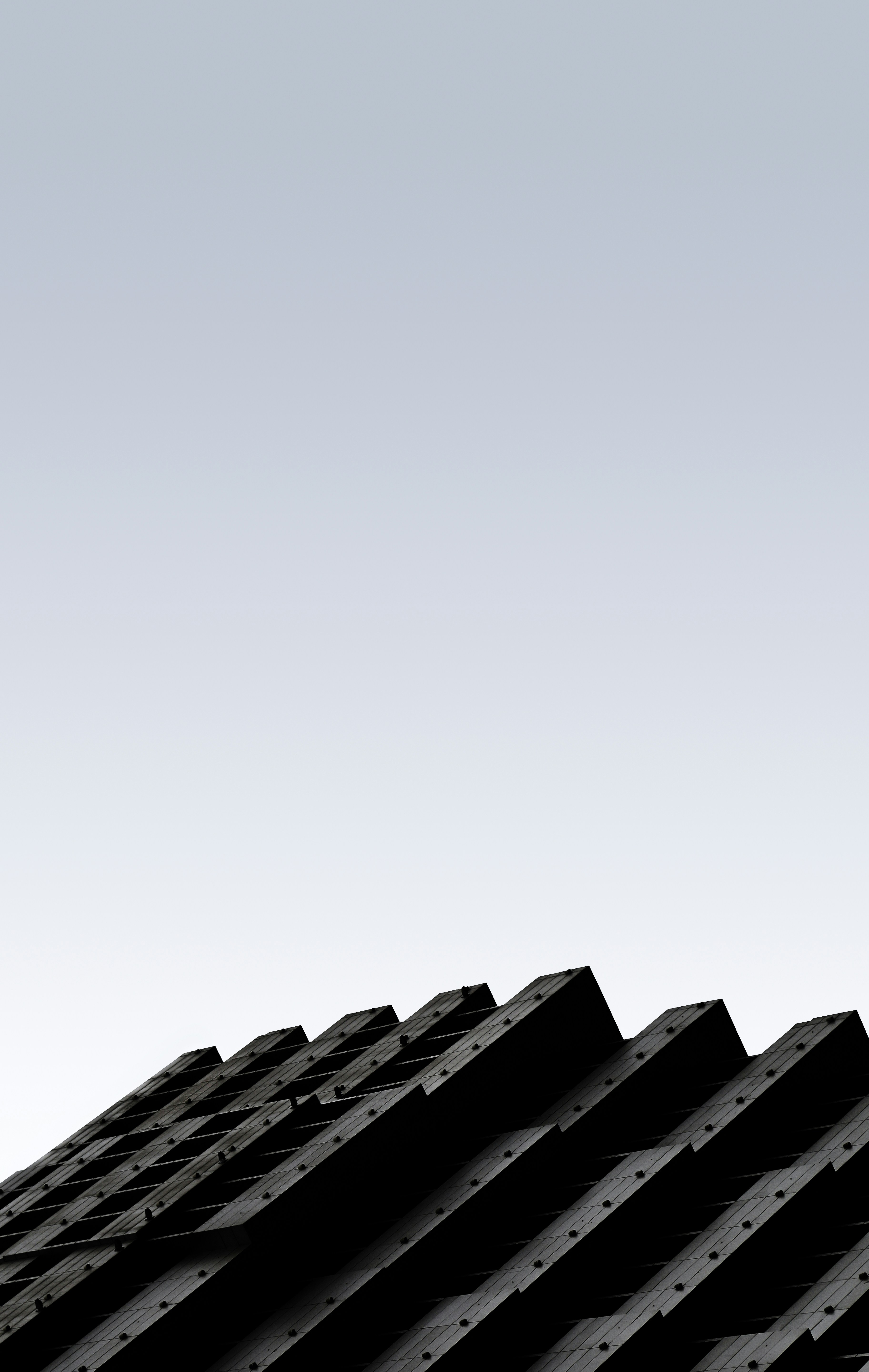 Photo by farhadafsari