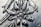 A close-up view of an intricate metal engraving depicting a floral pattern with detailed textures. The image highlights the craftsmanship involved in creating the piece.