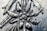 A close-up view of an intricate metal engraving depicting a floral pattern with detailed textures. The image highlights the craftsmanship involved in creating the piece.