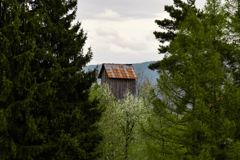 白い雲と青い空の下で緑の木々の真ん中にある茶色の木造家屋