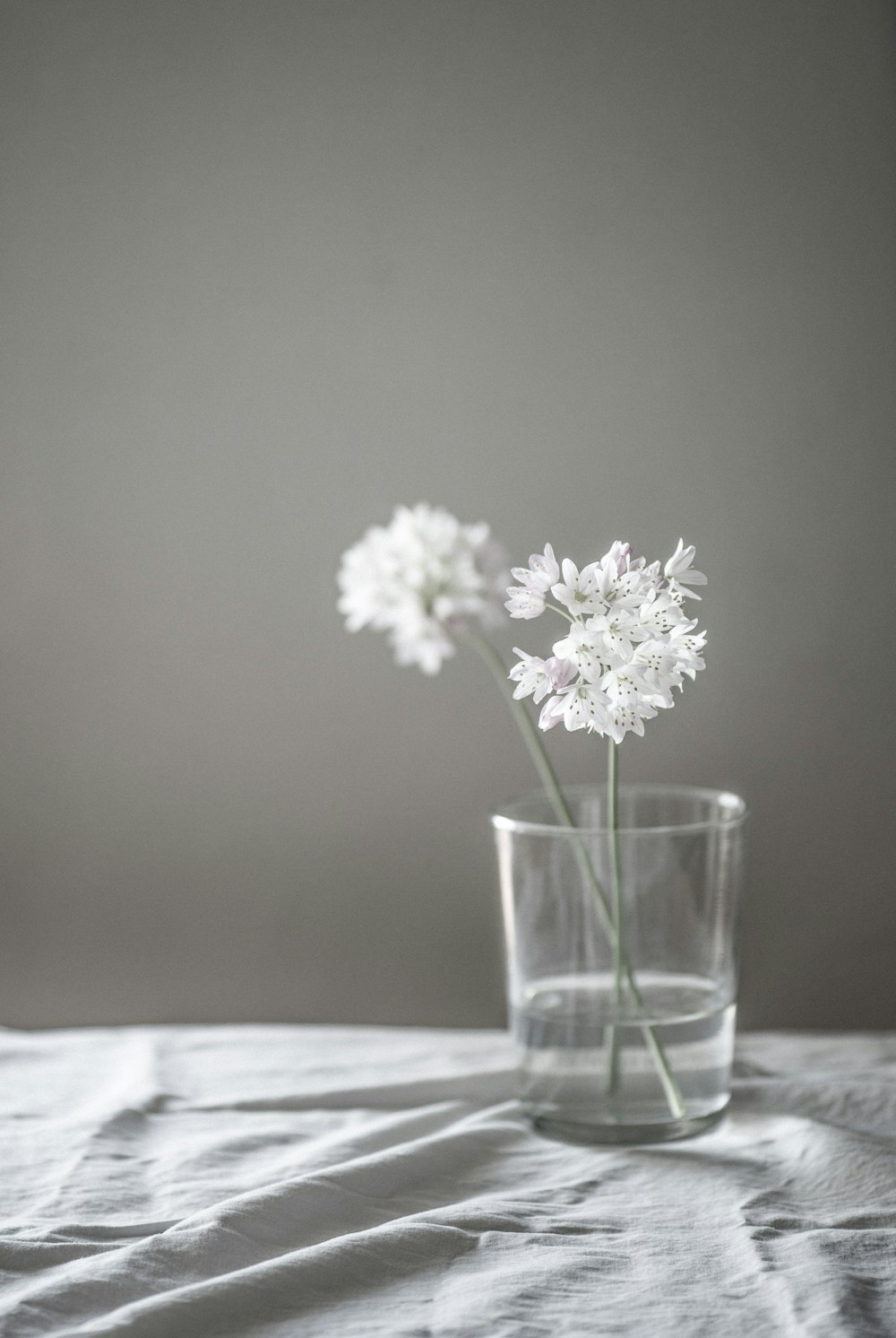 white and purple flowers in clear drinking glass