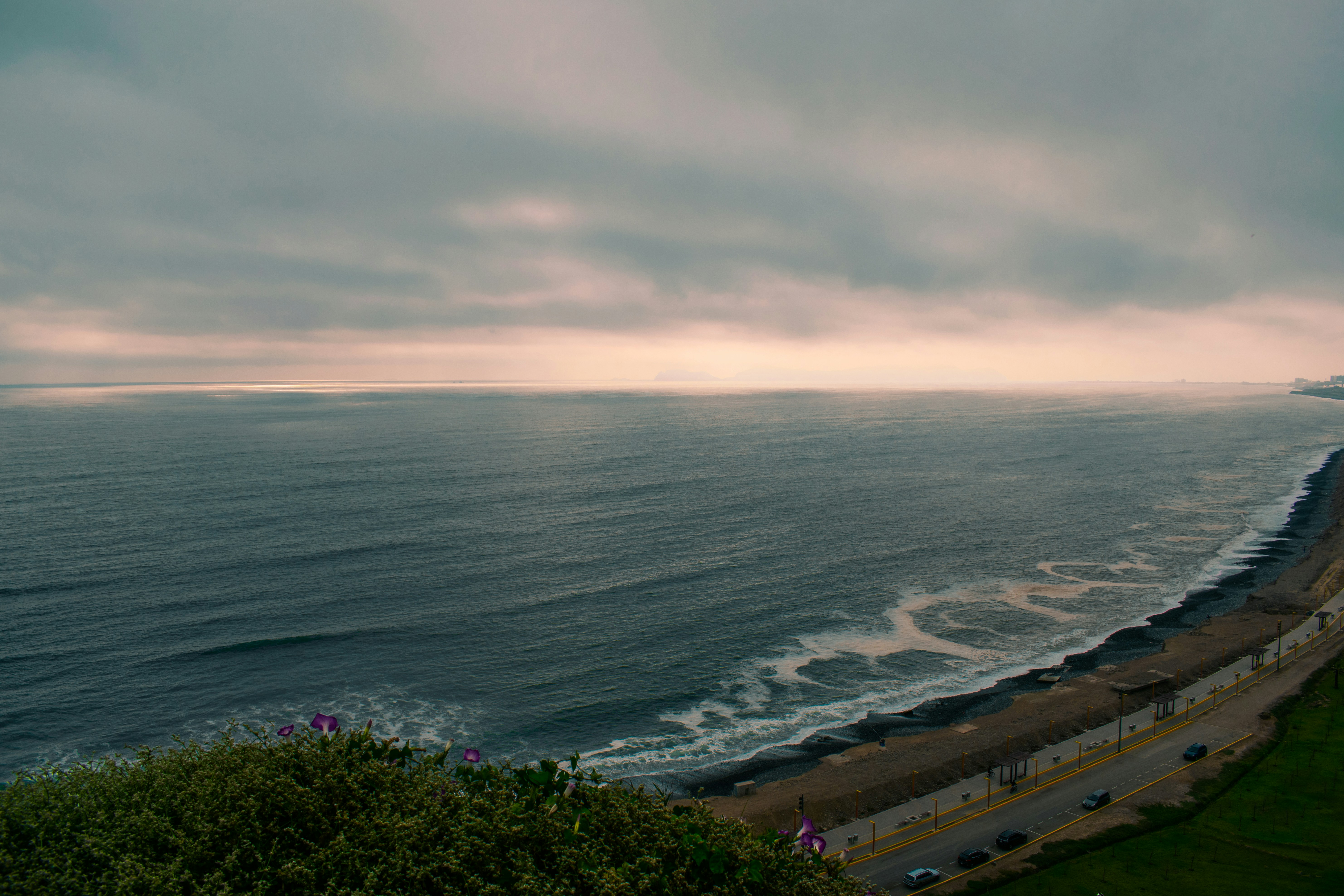 aerial view of city buildings near sea during daytime, 