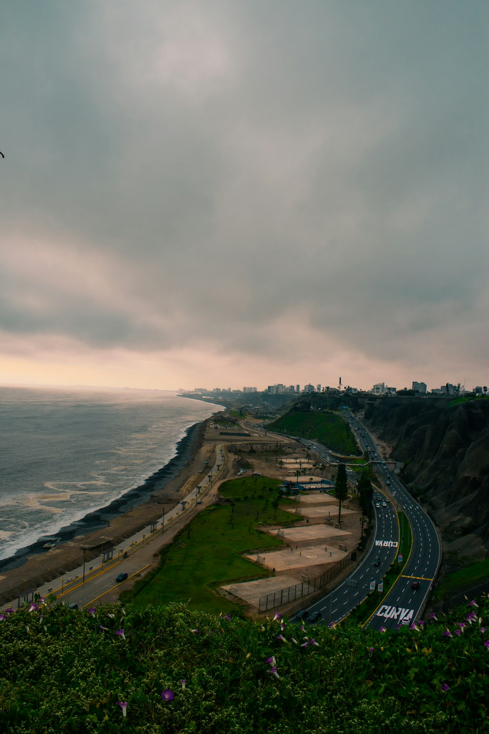 a bird flying over a road next to the ocean