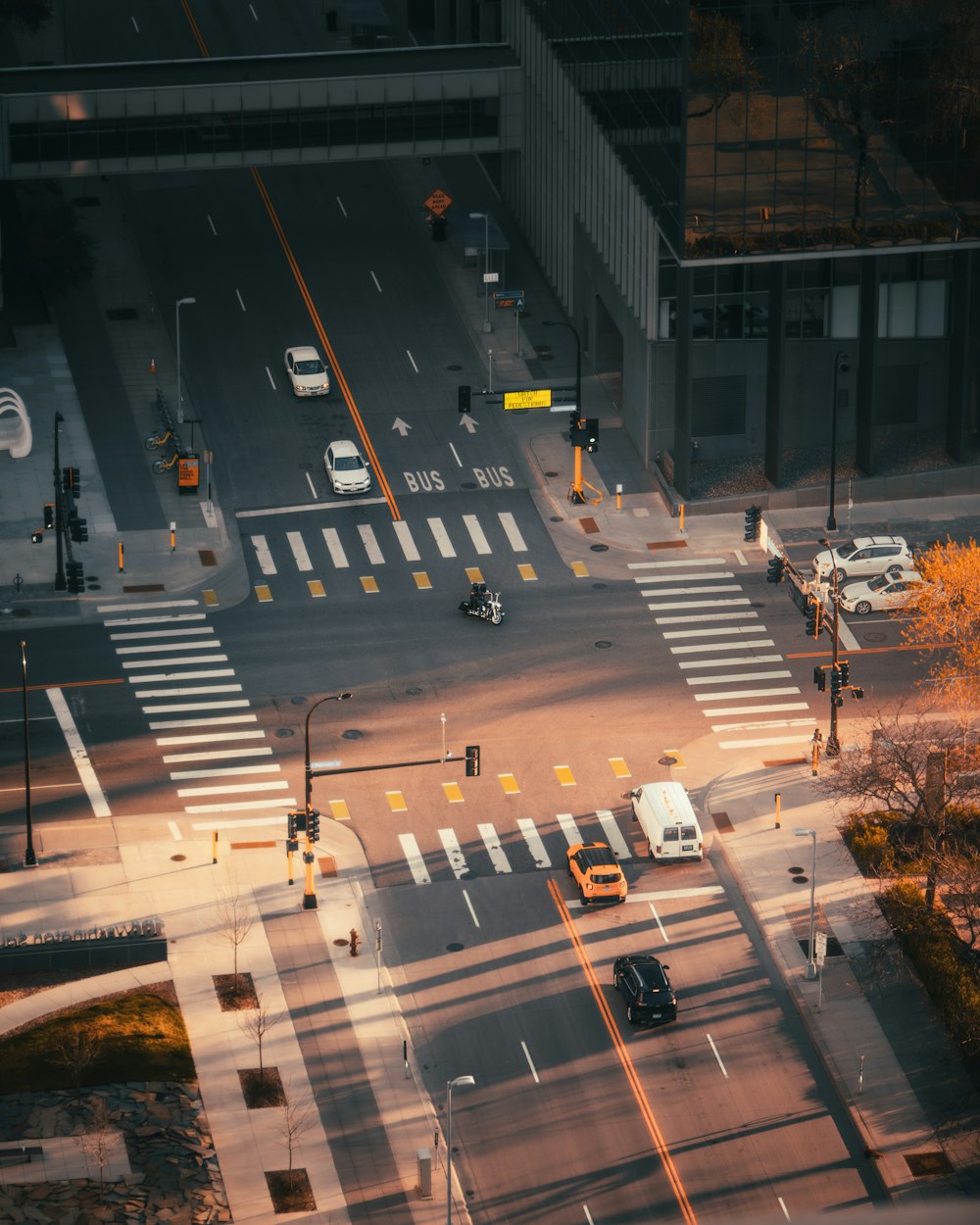 日中の道路を走る車