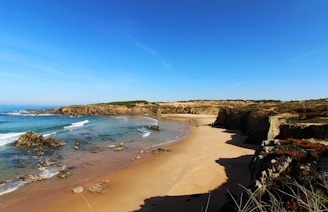 aerial view of beach during daytime