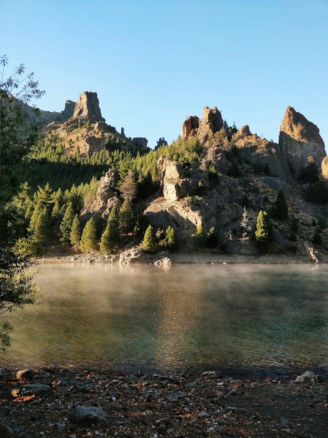 travelers stories about Nature reserve in Bariloche, Argentina