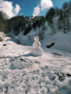 snowman on snow covered ground during daytime