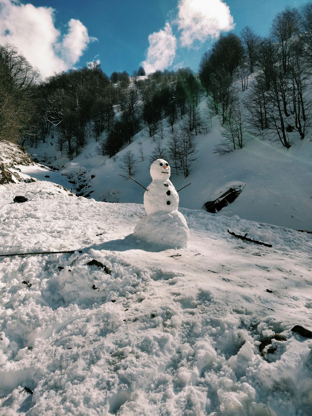 boneco de neve no chão coberto de neve durante o dia