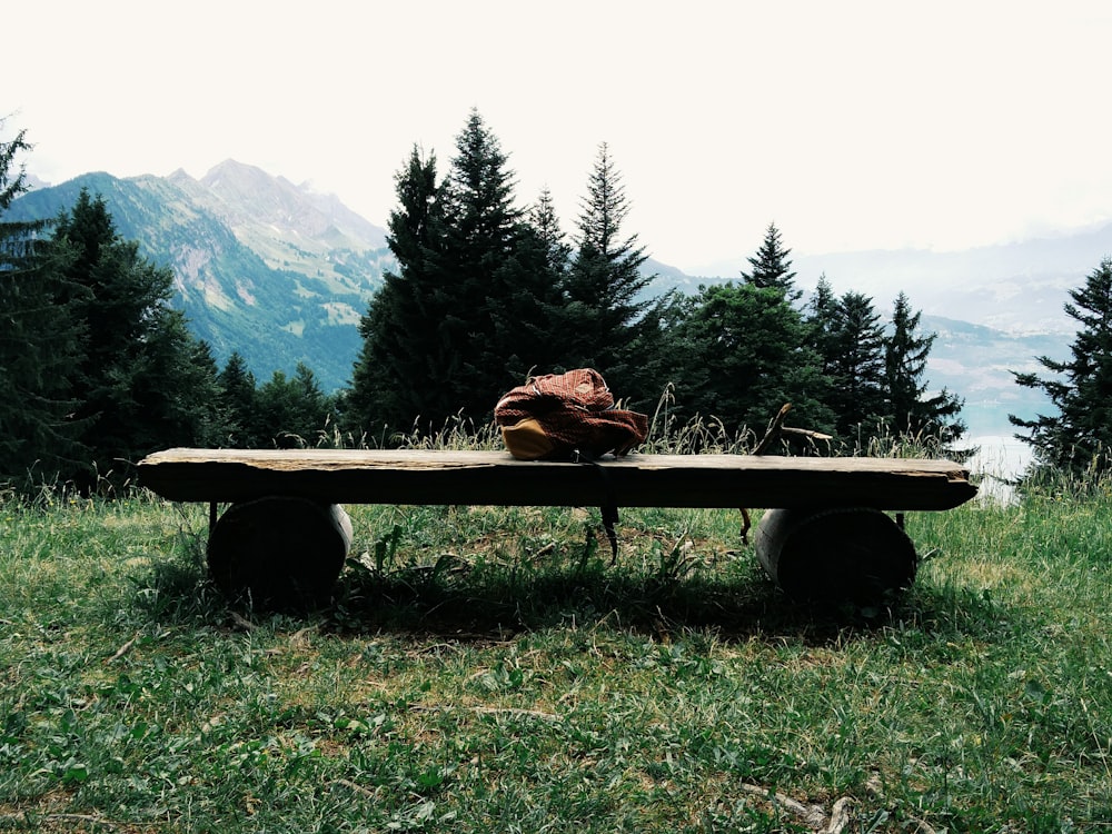 brauner hölzerner Picknicktisch auf grünem Grasfeld in der Nähe von grünen Bäumen und Bergen tagsüber