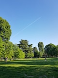 people walking on green grass field near green trees under blue sky during daytime