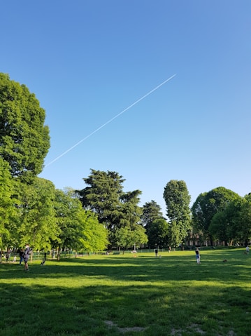 people walking on green grass field near green trees under blue sky during daytime