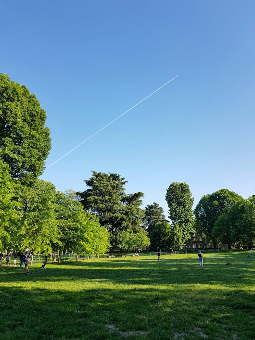 낮 동안 푸른 하늘 아래 푸른 나무 근처의 푸른 잔디밭을 걷는 사람들